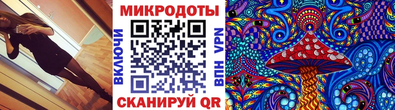 наркота  Покров  Псилоцибиновые грибы ЛСД 